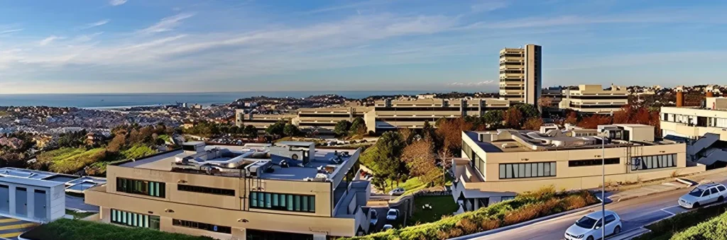 Università Politecnica delle Marche