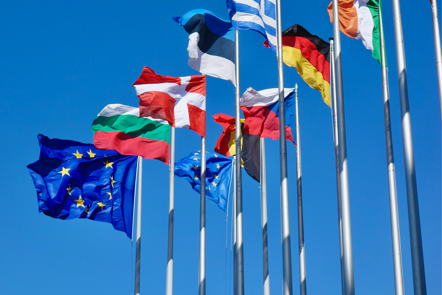 SUNRISE Seminar: Measuring the Impact of Collaboration